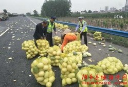 最有料官网 51热心的朝阳区群众今日吃瓜,51热心今日瓜田，吃瓜群众纷纷围观