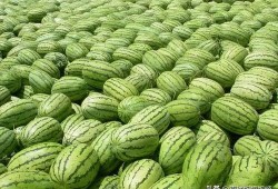 热门大瓜有哪些